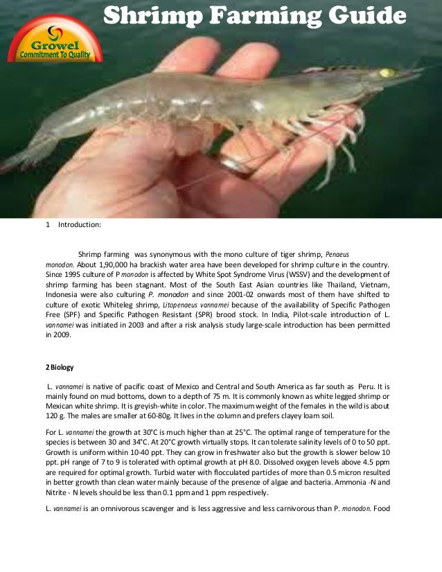 Shrimp Farming Guide